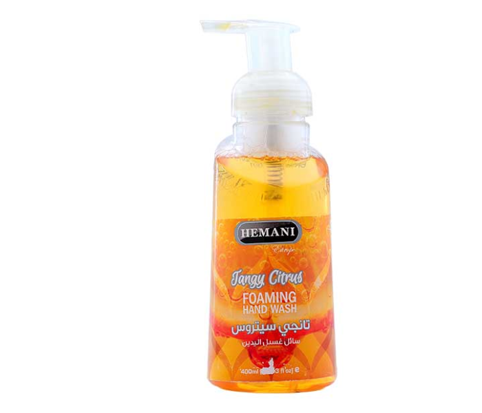 WB By Hemani Tangy Citrus Foam Soap - Zoom Image