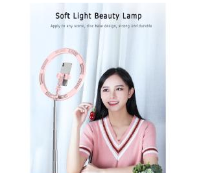 TikTok G2 Selfie Desk Led Ring Light For Selfie Tripod Lamp USB Male Support For Youtube TikTok Live Photo Studio - Zoom Image 3