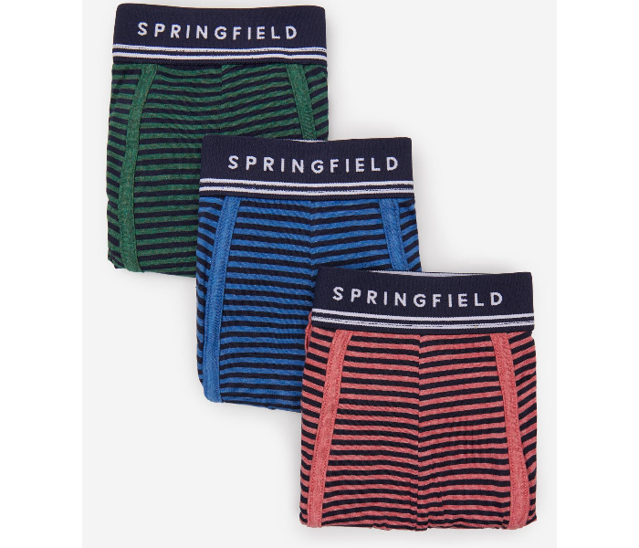 Springfield SS20 Pack of 3 Knitted Boxers And Slips X-Large For Men- Green Blue and Pink - Zoom Image 1