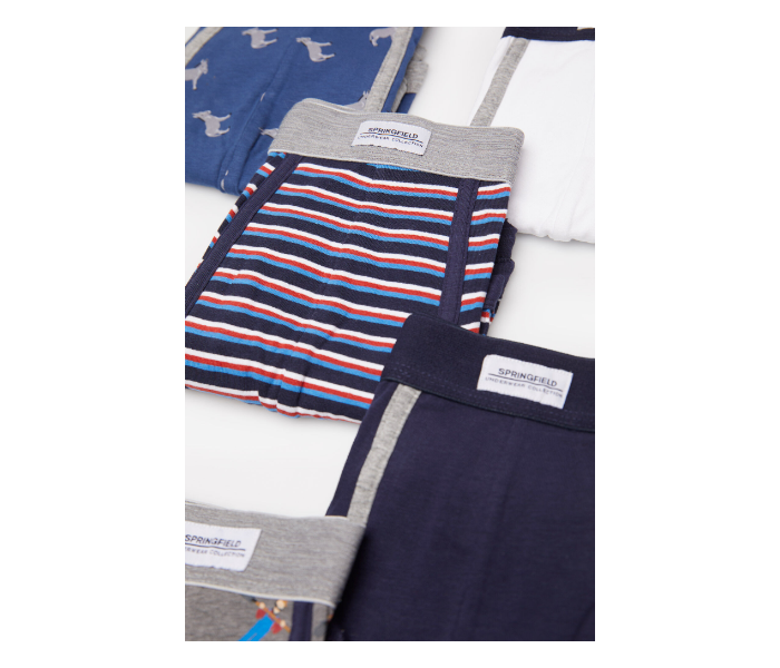 Springfield SS20 Pack of 5 Knitted Boxers And Slips Small For Men - Zoom Image 2