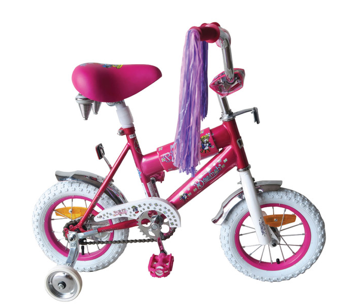 Family Center 25-14021 14inch Girlie Bicycle - Pink - Zoom Image