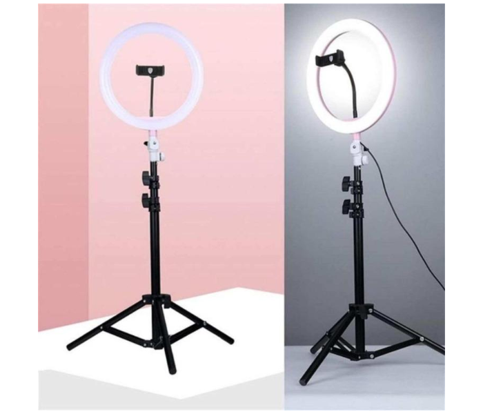 TikTok DX-26 10 Inch Selfie Ring Light with Tripod LED Camera Right Light for Live Stream Recording - Zoom Image