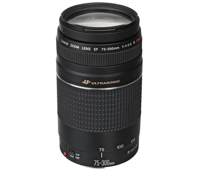 Canon EF 75-300 4-5.6 III USM Camera Lens - Zoom Image 2