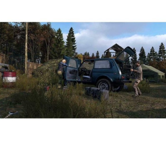 Dayz Game for PS4 - Zoom Image 4