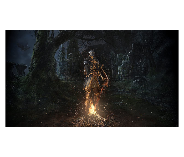 Dark Souls Remastered Game for Nintendo Switch - Zoom Image 2