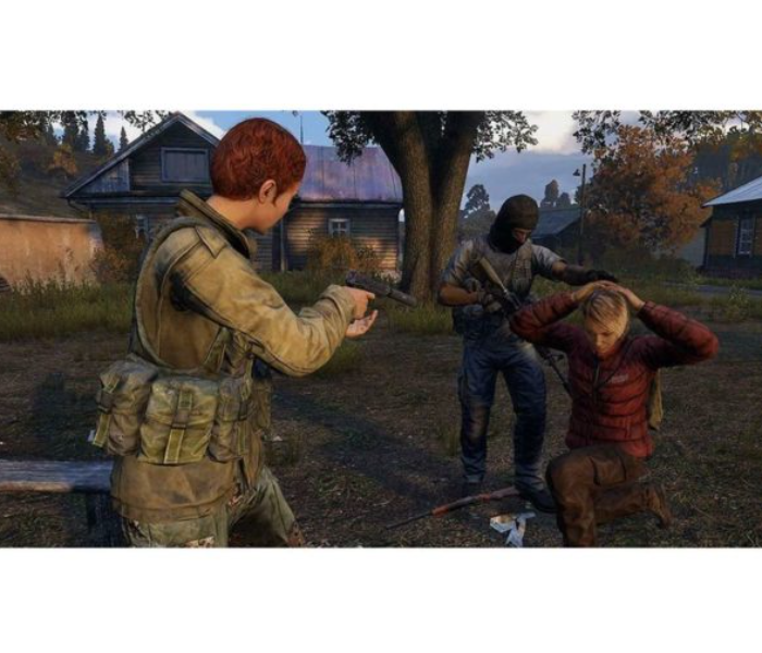 Dayz Game for PS4 - Zoom Image 2