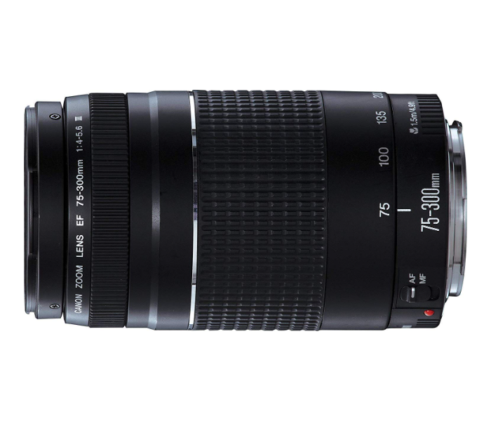 Buy Canon Ef 75 300 4 5 6 Iii Usm Price In Qatar Doha