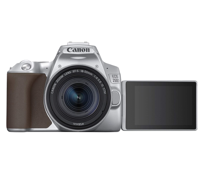 Canon EOS 250D Silver and EF-S 18-55mm f 4-5.6 IS STM Lens - Silver - Zoom Image 6