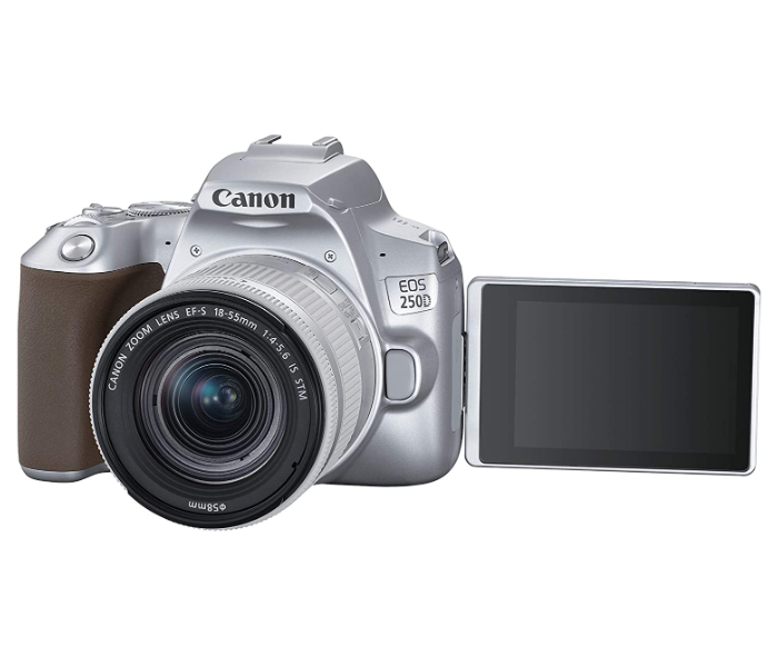 Canon EOS 250D Silver and EF-S 18-55mm f 4-5.6 IS STM Lens - Silver - Zoom Image 7