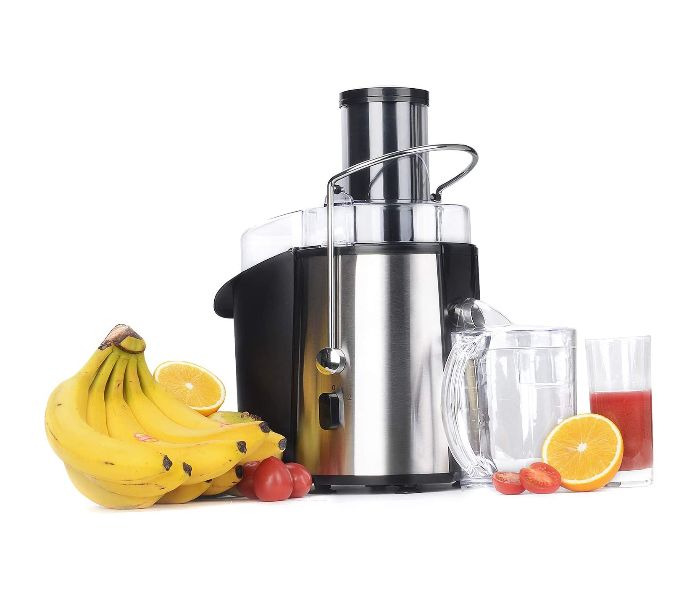 Impex JR 3510 2 Speed Juice Extractor - Black and Silver - Zoom Image