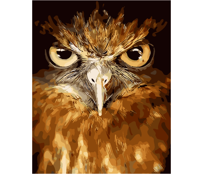 Owl DIY 2223 Canvas Painting  - Zoom Image