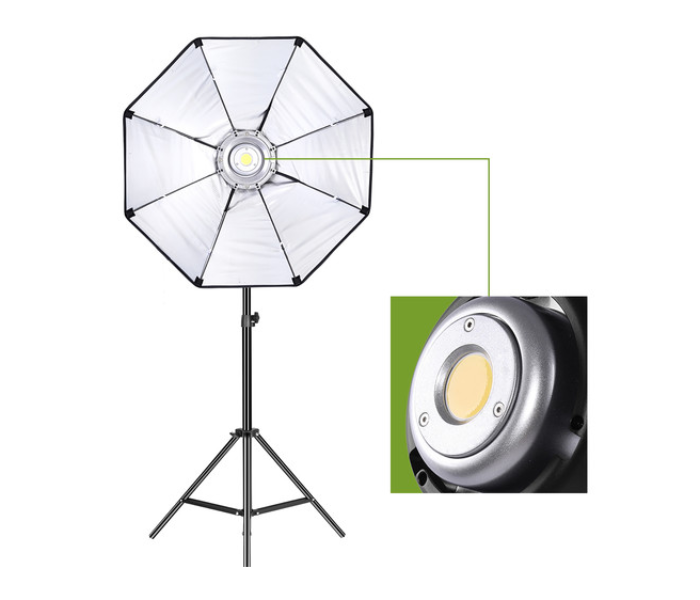 GVM P80S LED 4 Light Kit with Umbrellas Softboxes and Backdrops - Zoom Image 3