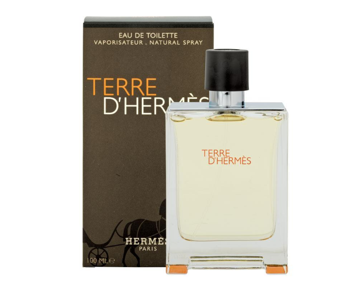 Hermes Terre D Hermes 100ml Eau De Toilette For Men - Zoom Image 2