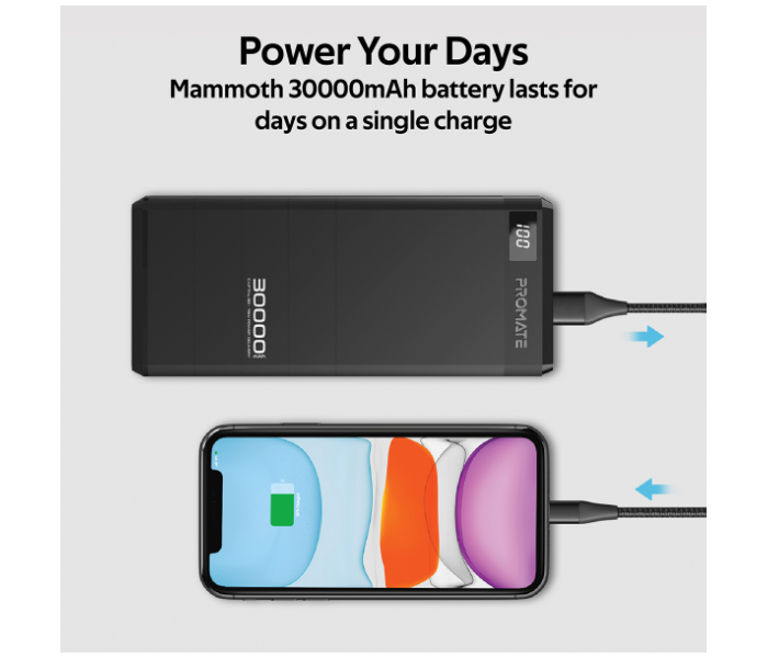 Promate Capital-30 30000mAh Power Bank - Black - Zoom Image 2