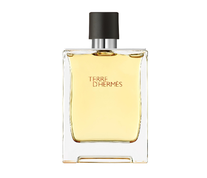 Hermes Terre D Hermes 100ml Eau De Toilette For Men - Zoom Image 1