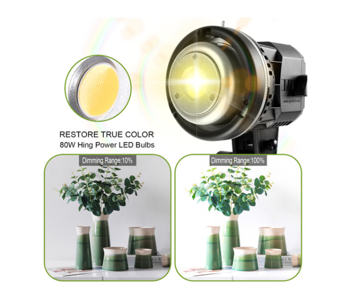 GVM LS-P80S Daylight-Balanced LED Video Soft Light - Black - Zoom Image 2