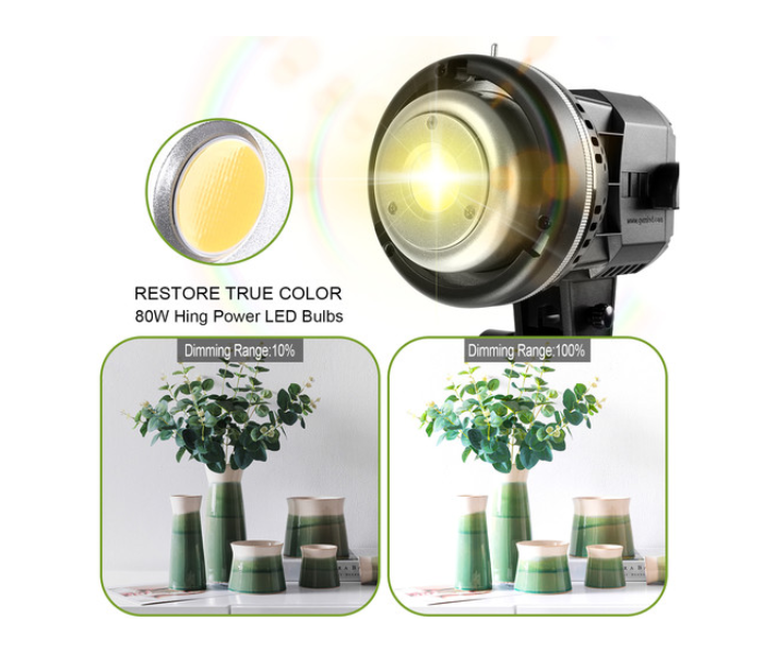 GVM LS-P80S LED Video Soft Light Kit with Softbox - Zoom Image 3