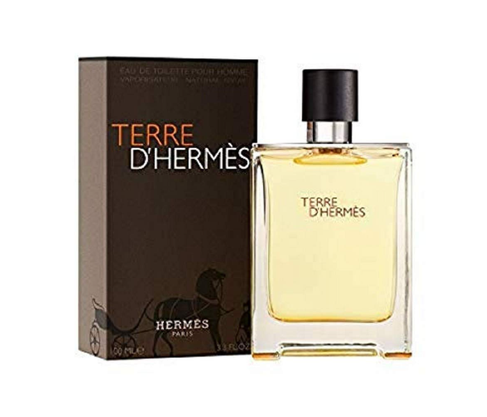 Hermes 100ml Terre DHermes Eau De Toilette - Zoom Image