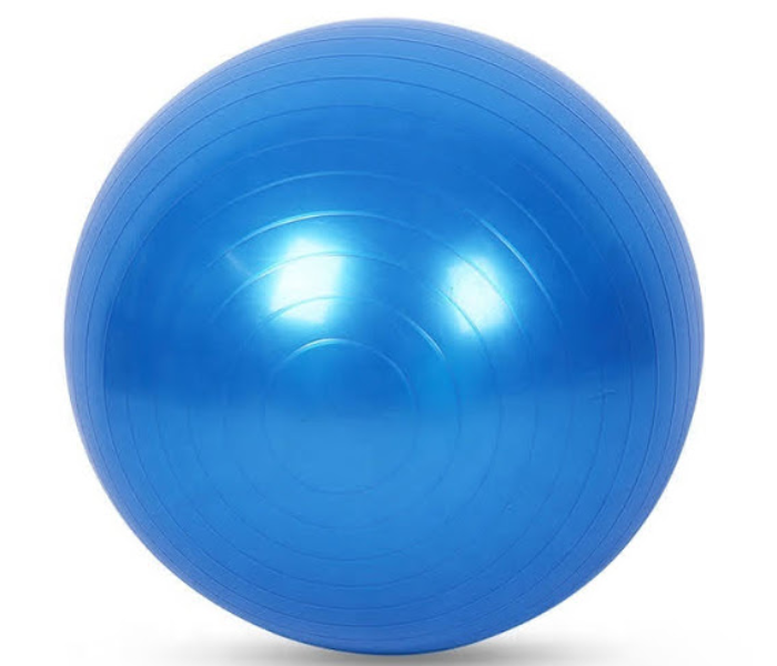 GTC Stability Gym Balance and Yoga-Ball Gym Exercise Ball for Fitness - Blue - Zoom Image 1