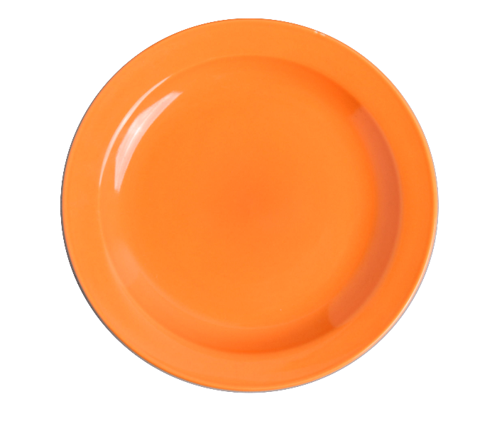 Generic XY10050 8 inch Color Ceramic Disc - Orange - Zoom Image