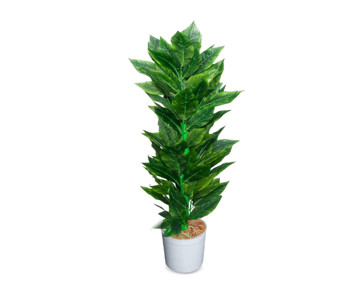 Indoor Tree with White Pot - Green - Zoom Image