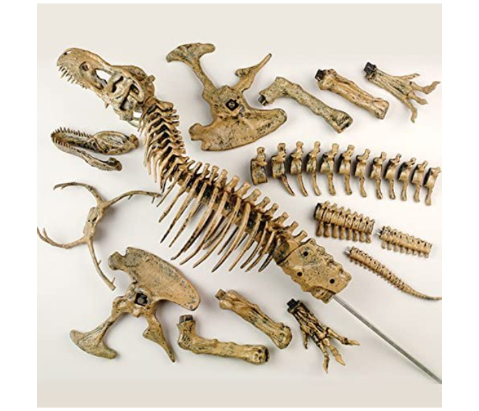 Edu Toys ATEDVT026 Dinosaur T Rex Skeleton Toy for Kids - Zoom Image 3