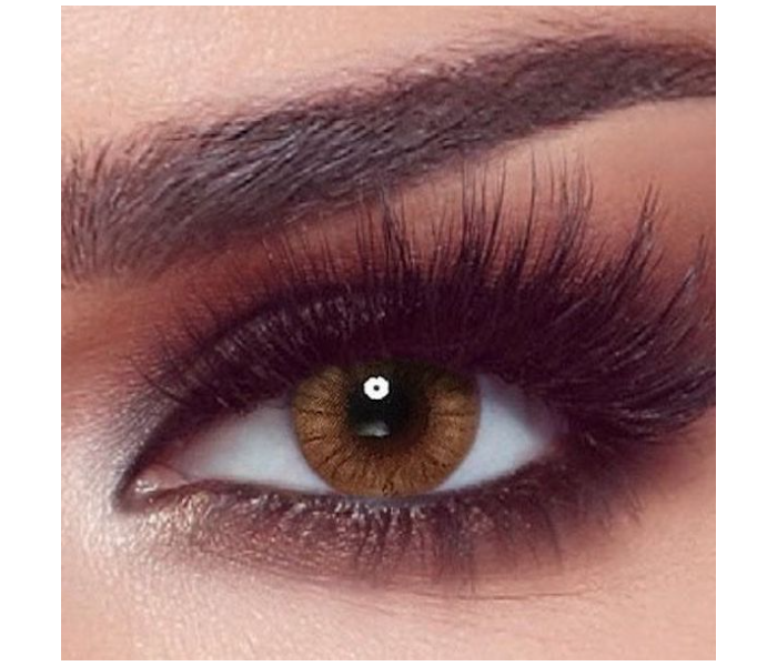 Bella One Day Contact Lens - Hazel Honey - Zoom Image