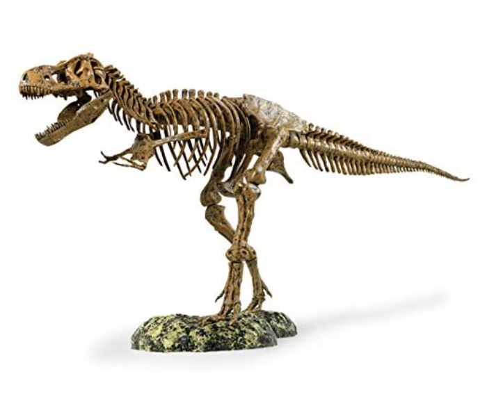 Edu Toys ATEDVT026 Dinosaur T Rex Skeleton Toy for Kids - Zoom Image 2