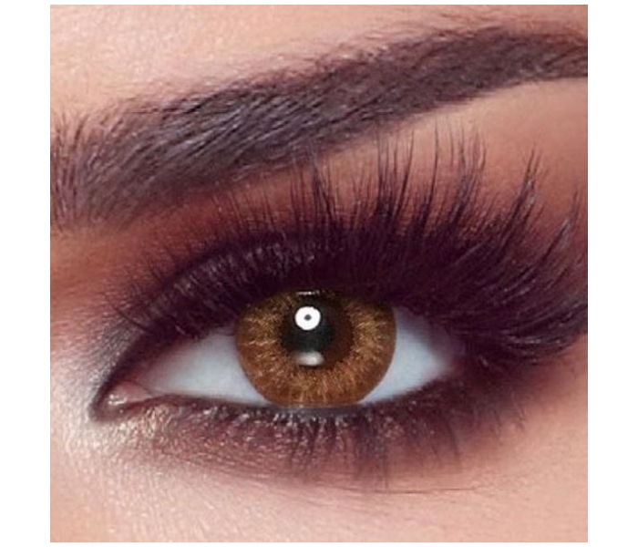 Bella One Day Contact Lens - Almond Brown - Zoom Image