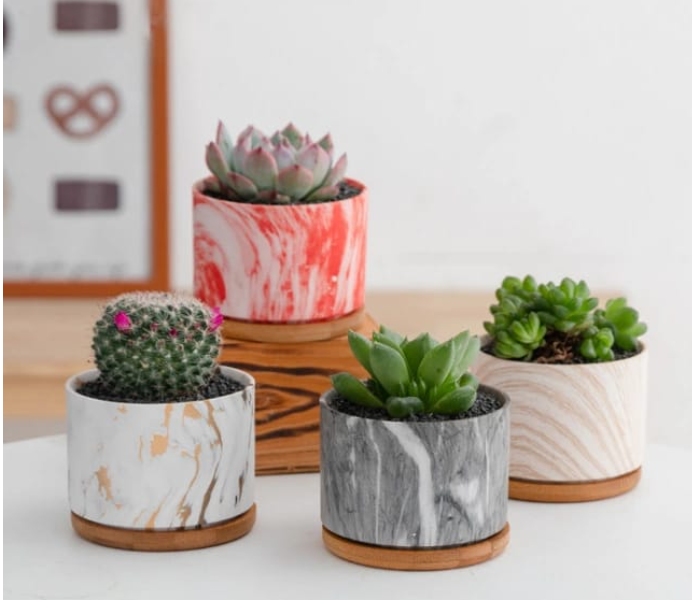 Serah Home Decors Ceramic 4Pcs Pots For Succulents and Cactus with Wooden Base Ceramic Pots Design 1 - Zoom Image 1