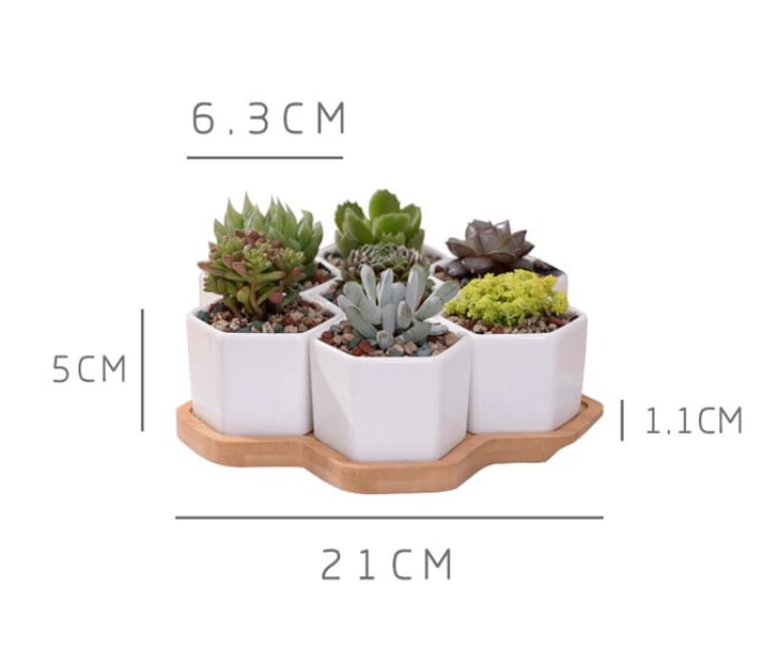 Serah Home Decors Ceramic White Succulant Plant Pots with Bamboo Tray  Ceramic Pots - Zoom Image 2