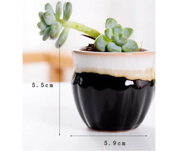 Serah Home Decors Ceramic 6 Pcs Pots For Succulents and Cactus Ceramic Pots Design 1 - Zoom Image 3