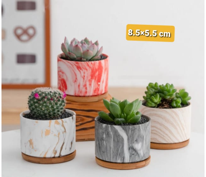 Serah Home Decors Ceramic 4Pcs Pots For Succulents and Cactus with Wooden Base Ceramic Pots Design 1 - Zoom Image 2