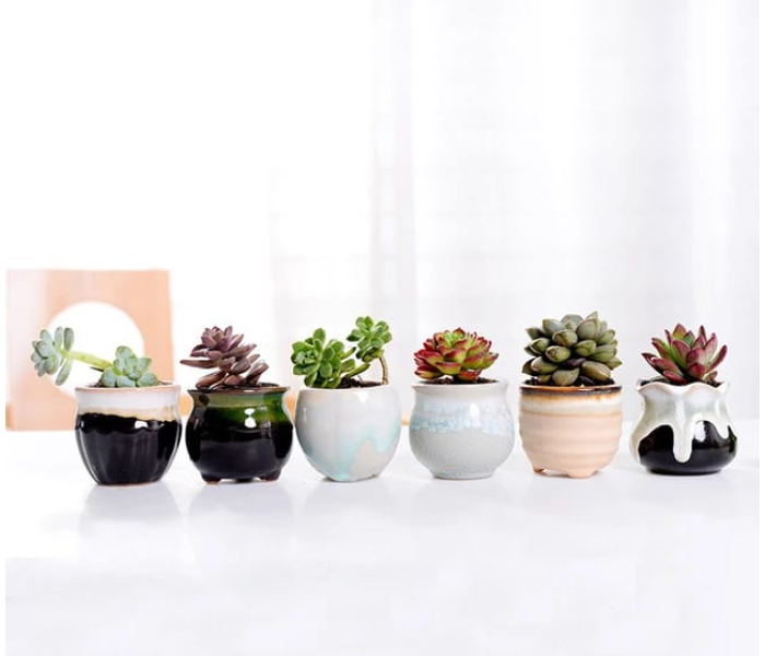 Serah Home Decors Ceramic 6 Pcs Pots For Succulents and Cactus Ceramic Pots Design 1 - Zoom Image 1