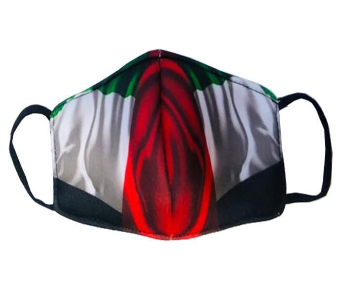 Zap UAE Flag Printed 3 Reusable Washable Face Mask - Zoom Image