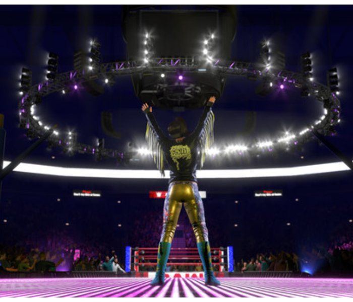 WWE 2K20 Game for Playstation 4 - Zoom Image 4