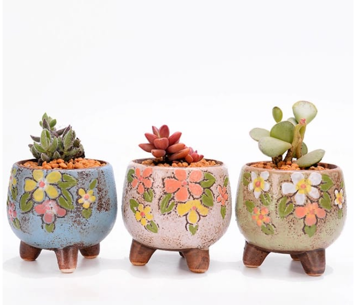 Serah Home Decors Ceramic Pots 1 Pc For Succulents and Cactus Ceramic Pots Design 2 - Zoom Image