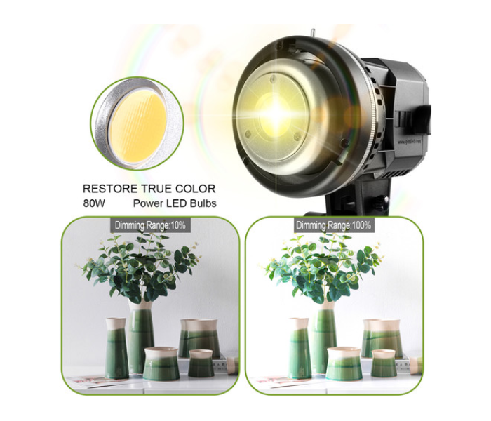 GVM LS-P80S-2D LED 2-Light Kit with Filters - Black - Zoom Image 2