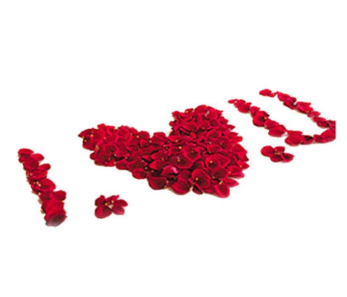 1000 Pieces Flower Petals Artificial - Red  - Zoom Image 3