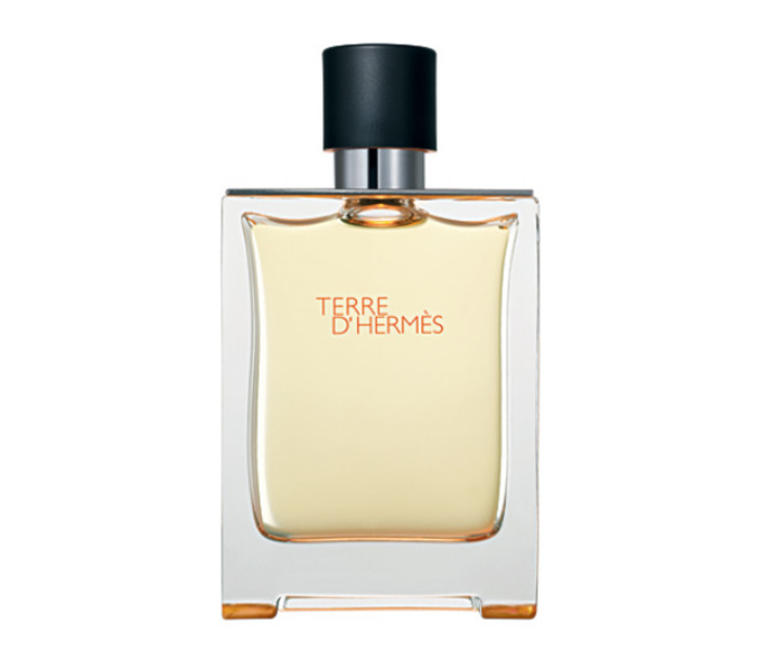 Terre DHermes 100ml Eau de Toilette for Men - Zoom Image