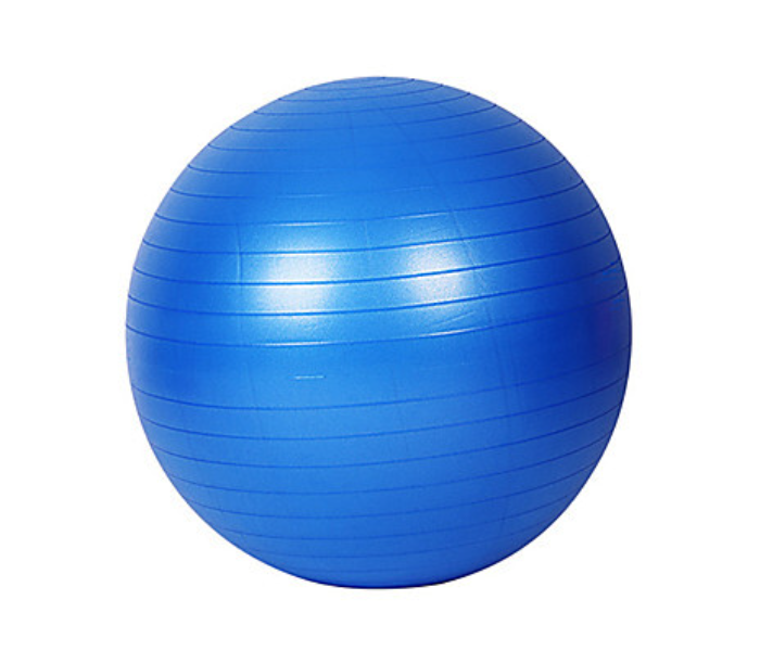 65cm Diameter Anti Burst Yoga Ball with Air Pump - Blue - Zoom Image 1