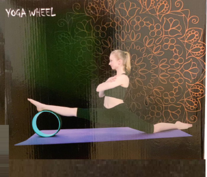 Top Quality ABS Yoga Wheel - Zoom Image 1