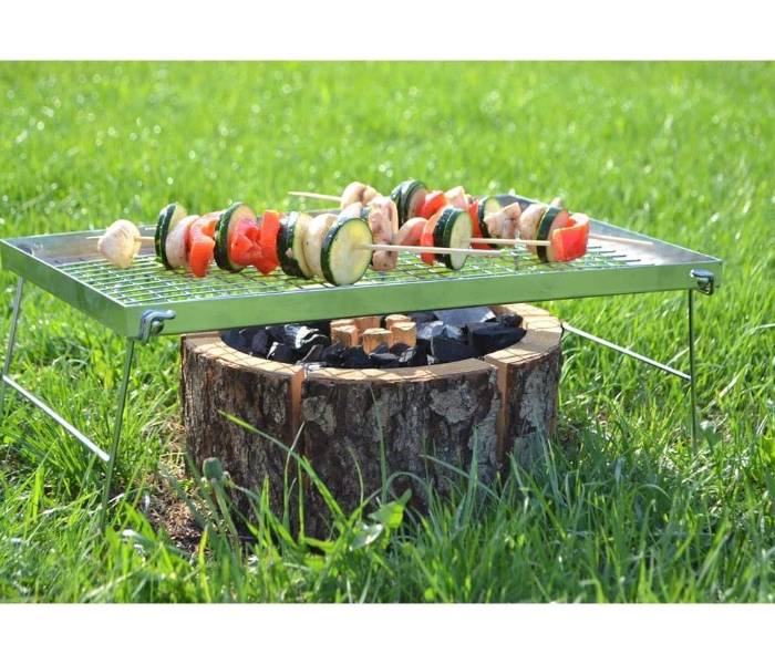 Ecogrill Small for Bbq 18 to 22 Centimeters Medium Fire Wood and Charcoal Mix  - Zoom Image 3