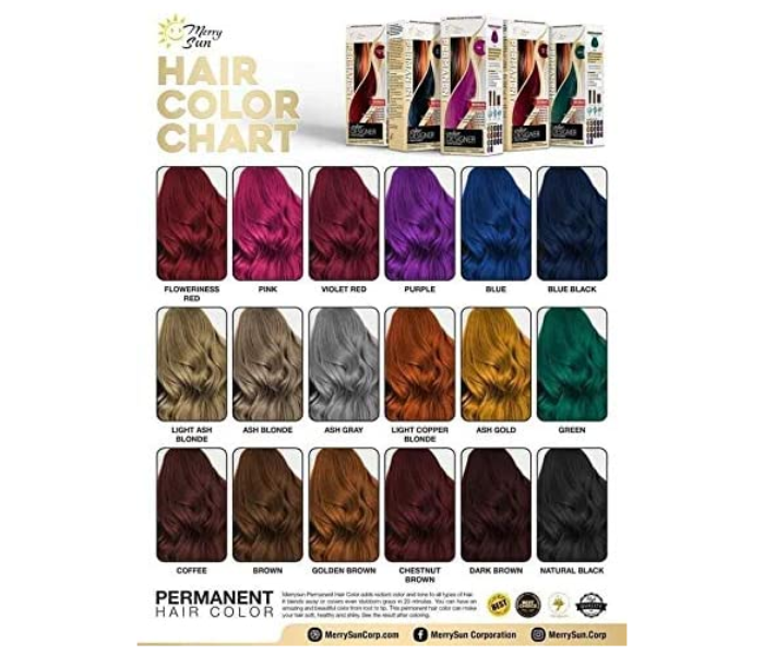 Buy Merry Sun Permanent Hair Color84546 Price in Qatar, Doha