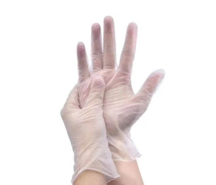 100 Piece Large Disposable Vinyl Gloves - Zoom Image