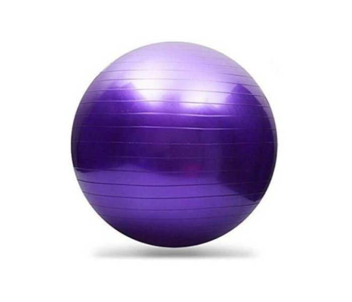 65cm Diameter Anti Burst Yoga Ball with Air Pump - Purple - Zoom Image 2