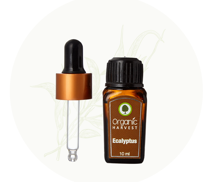 Organic Harvest 10ml Eucalyptus Essential Oil - Zoom Image 2