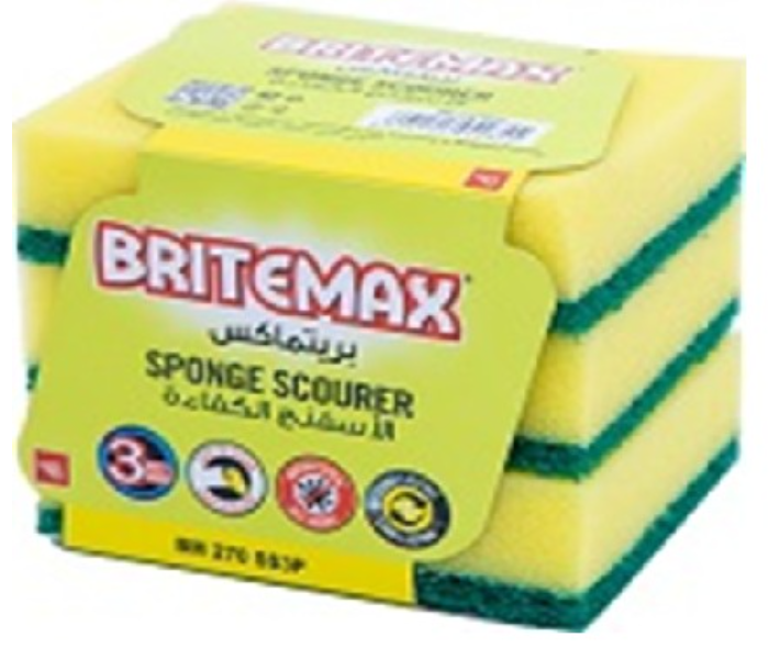 Homeway BM270  Set of 3 Pieces Sponge Scourer - Zoom Image 2