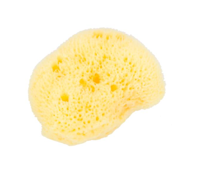 Beautytime BT219 Cosmetic Sea Sponge - Zoom Image