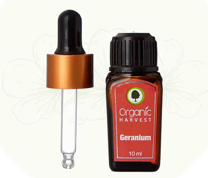 Organic Harvest 10ml Geranium Indian Essential Oil - Zoom Image 2